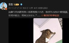  董路：韓少若止步不前，韓足已達(dá)頂峰。