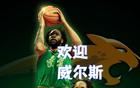  54+9猛將空降沈陽，威爾斯助遼籃四連冠？只待官宣！