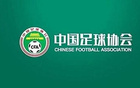  體壇：巴林青訓(xùn)鏡鑒中國足球，足協(xié)需深思