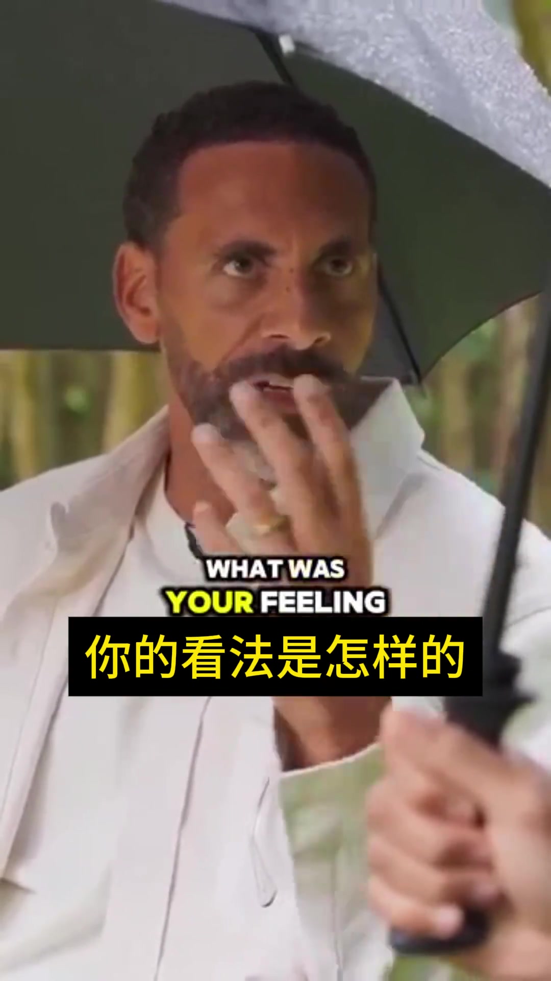  費迪南德：范迪克，人們拿我倆比較