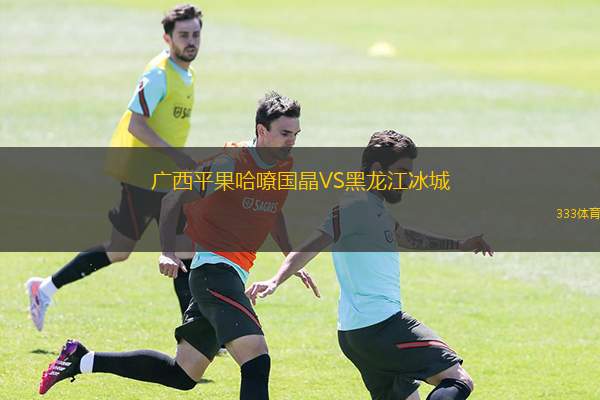  廣西平果哈嘹國(guó)晶VS黑龍江冰城