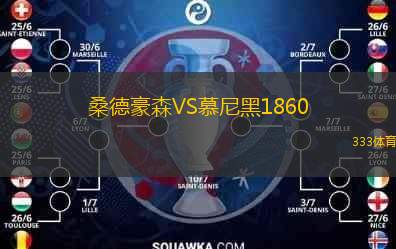  桑德豪森VS慕尼黑1860