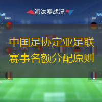  中國足協(xié)定亞足聯(lián)賽事名額分配原則