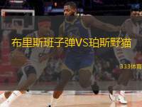  布里斯班子彈VS珀斯野貓