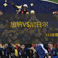  加納VS尼日爾