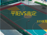  平陽(yáng)VS南定