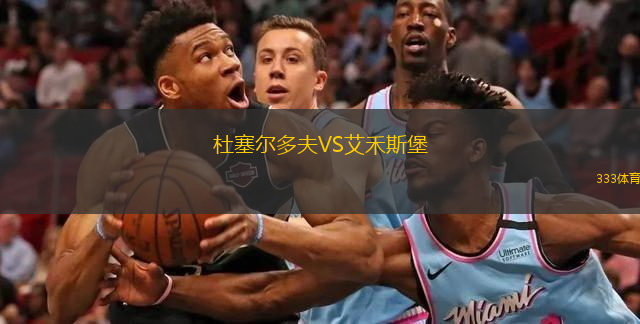  杜塞爾多夫VS艾禾斯堡