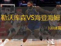  勒沃庫森VS海登海姆