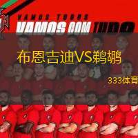  布恩吉迪VS鵜鶘