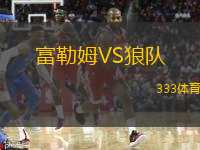  富勒姆VS狼隊