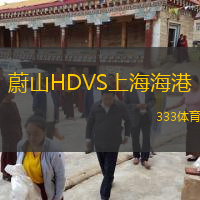  蔚山HDVS上海海港
