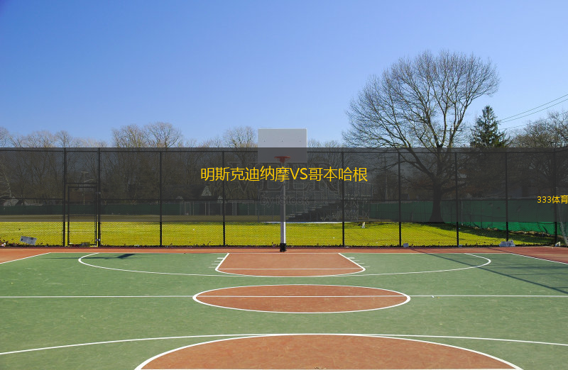  明斯克迪納摩VS哥本哈根