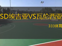  SD埃吉亞VS瓦倫西亞