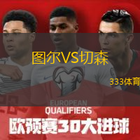  圖爾VS切森