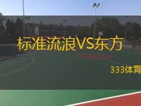  標(biāo)準(zhǔn)流浪VS東方