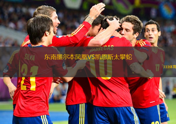  東南墨爾本鳳凰VS凱恩斯太攀蛇