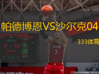  帕德博恩VS沙爾克04