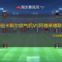  紐卡斯?fàn)枃姎鈾C(jī)VS阿德萊德聯(lián)