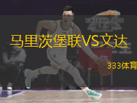  馬里茨堡聯(lián)VS文達(dá)
