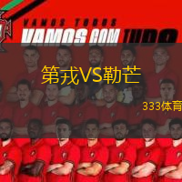  第戎VS勒芒